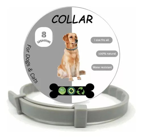 Collar Anti Pulgas Garrapata Para Perros